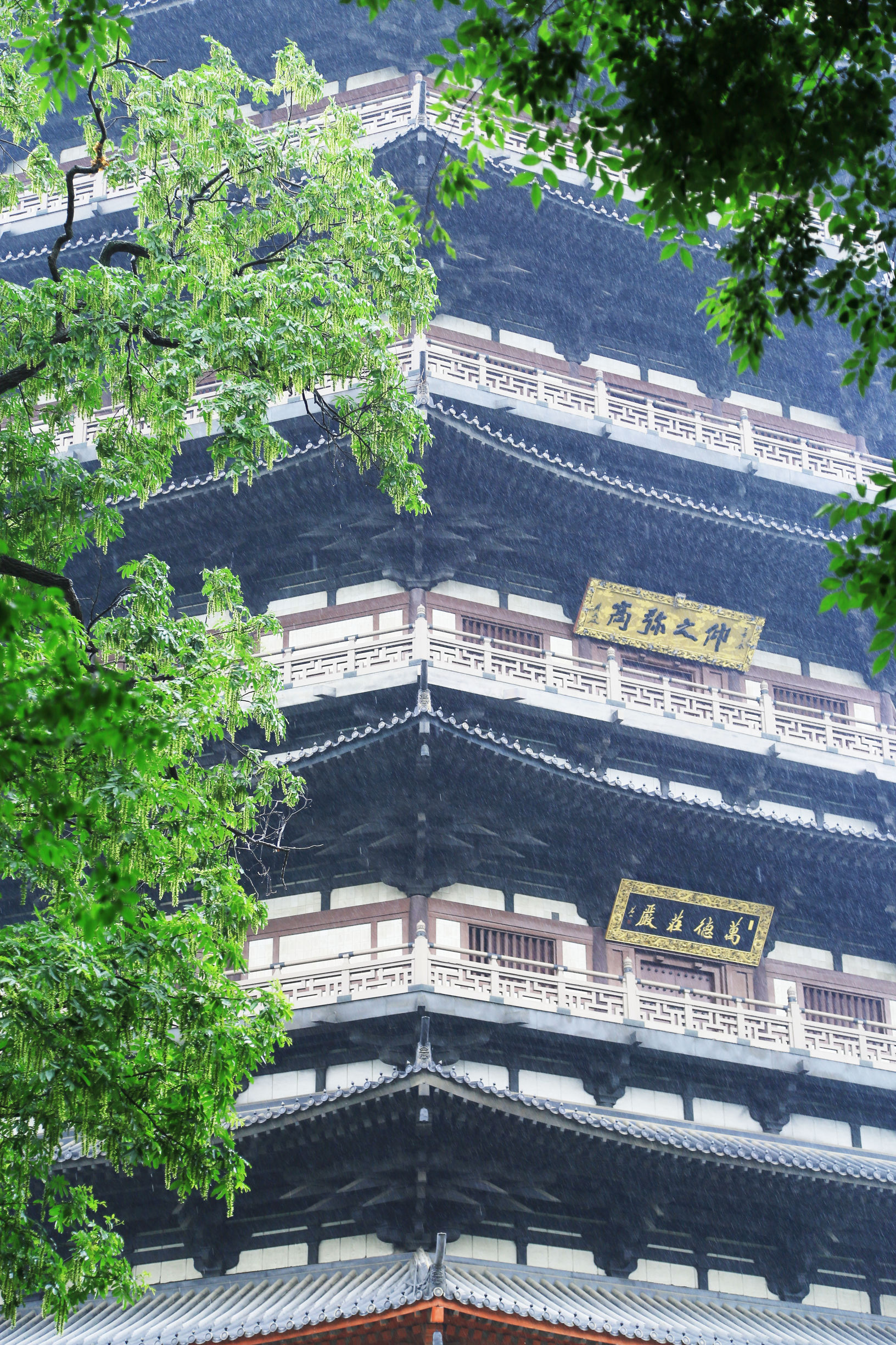 苏州天宁寺,天宁寺是全亚洲最大的寺庙吗