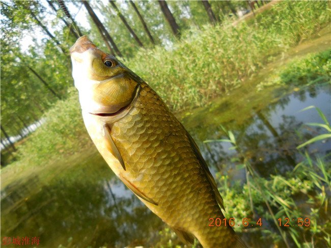 徐州钓鱼地方推荐野钓,徐州野钓地点推荐云龙