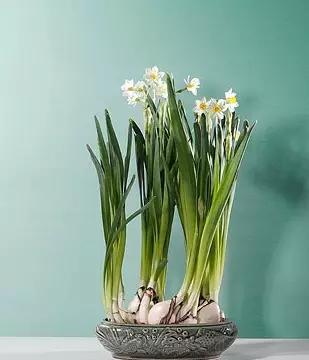 3岁男孩舔了一口,抢救8小时才抢救了回来,这东西你家一定也有