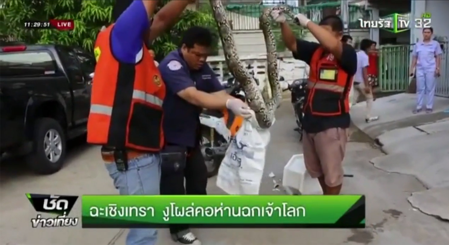 泰国一男子上厕所时被马桶里钻出的蟒蛇咬伤*体下**