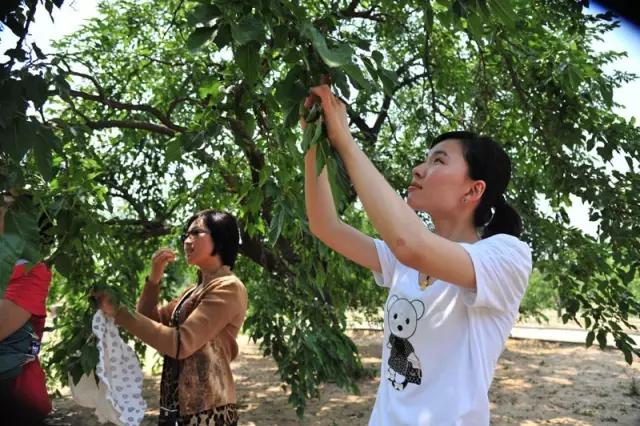 山东德百温泉旅游小镇,山东德州德百温泉度假村
