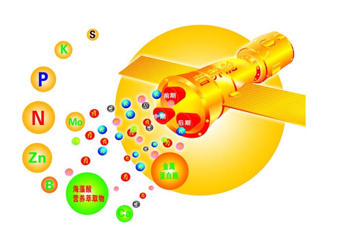糖尿病人补充九种营养素,糖尿病人能吃什么大补