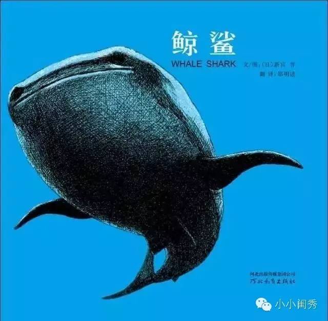 假期带娃自驾旅游推荐,假期带娃旅行去哪合适