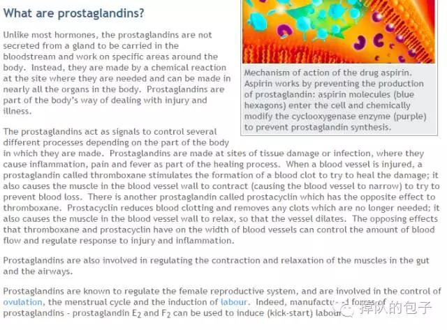 迷之月见草——那些代购不会告诉你的月见草知识全科普