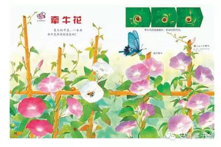 幼儿科普书籍,儿童科普绘本启蒙书