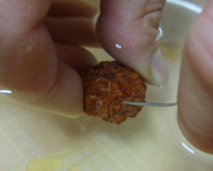 大金刚怎么才是包浆 (尼泊尔红皮大金刚怎么盘)