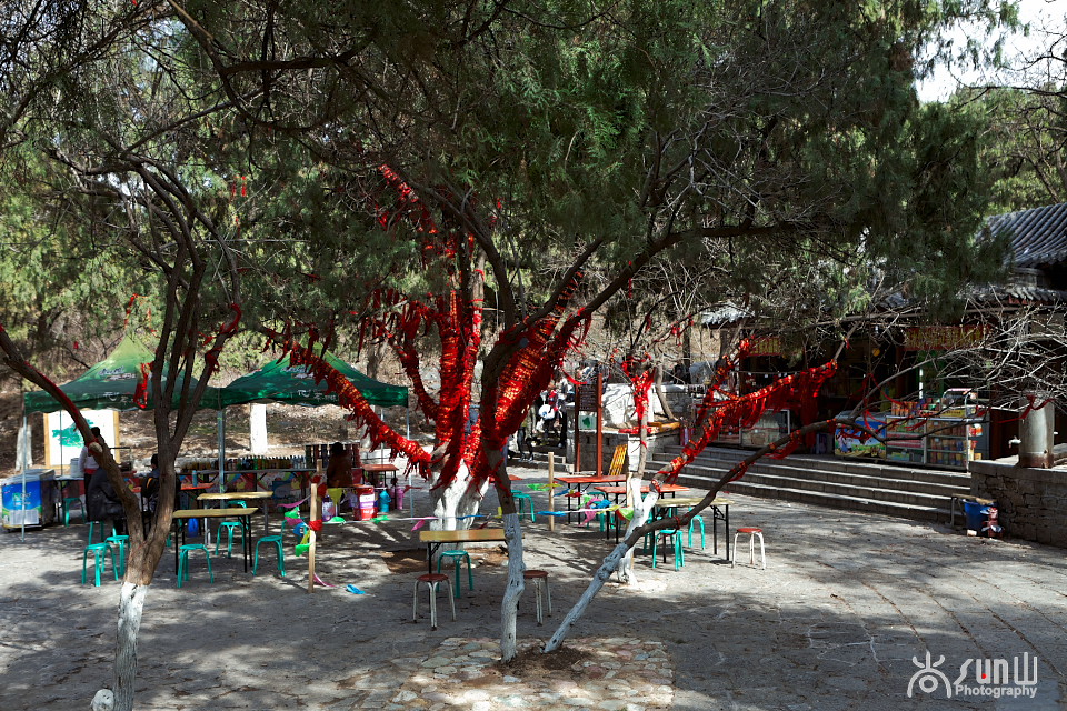 为什么古树都要拴红绳,往古树上拴红绳什么意思