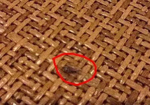 7天大婴儿背部突发巨大脓包导致休克！这东西东莞每个家庭都有。