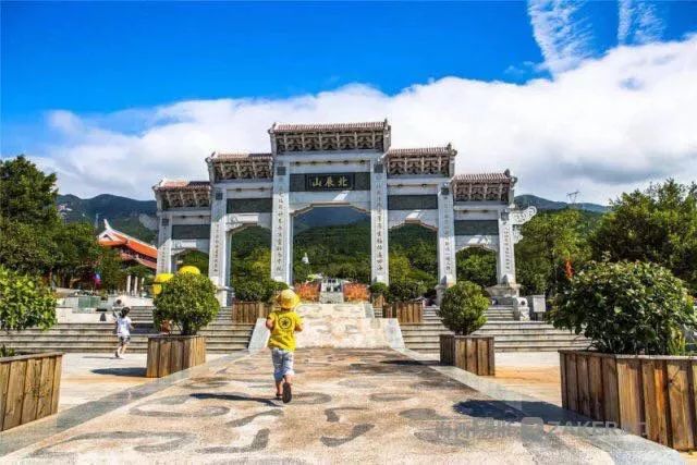 厦门同安千日红三角梅园花海,厦门翔安樱花油菜花