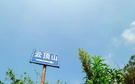 厦门同安千日红三角梅园花海,厦门翔安樱花油菜花