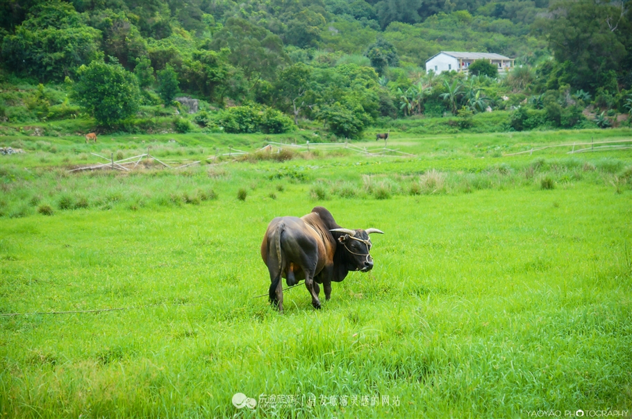 度假胜地游玩攻略,川岛度假区攻略