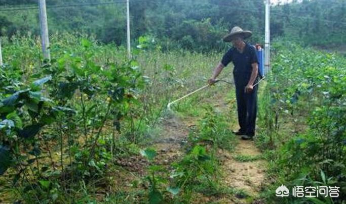 农达草甘磷是否可以与草胺磷混用,除草剂草铵膦与草甘膦有什么区别