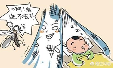 夏天好多蚊子怎么驱蚊,在夏天蚊子多怎么驱蚊