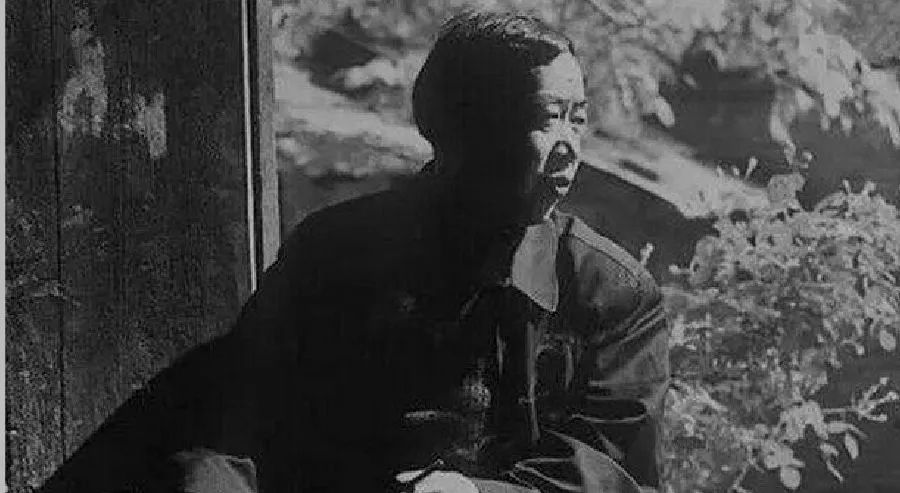 贾平凹活法,贾平凹作品50岁以后最好的活法