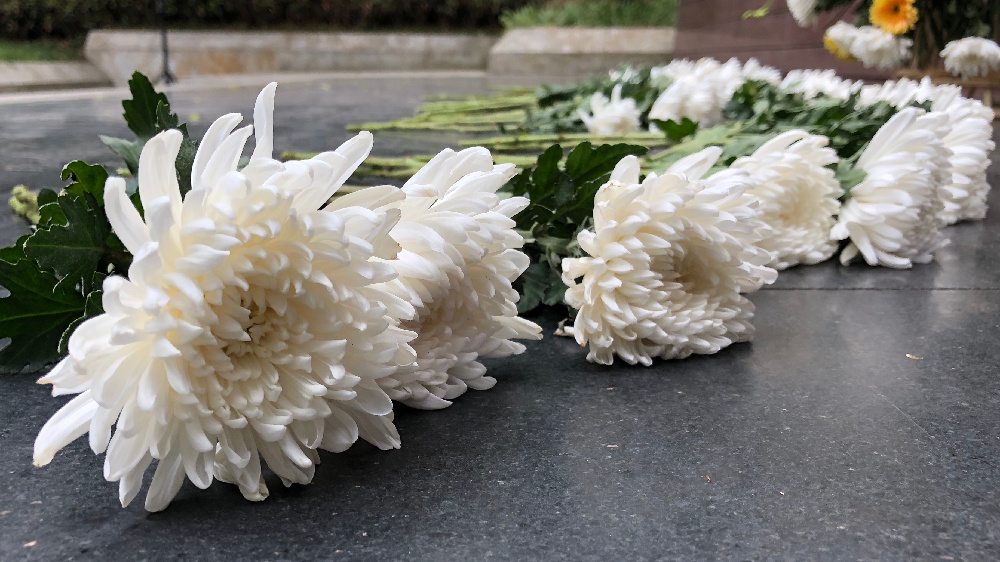 2019年公安因公牺牲民警有多少,致敬全国因公牺牲的公安民警