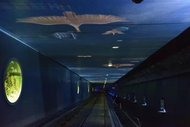 端午旅游景点推荐旅游团,端午假期这些景点全免费