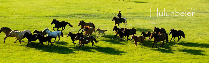 呼伦贝尔拍照攻略,呼伦贝尔美景拍照