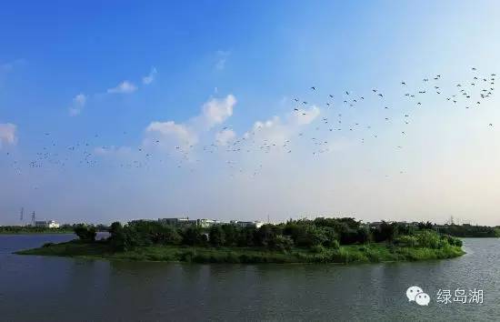 好消息佛山禅城,佛山吸引人的地方