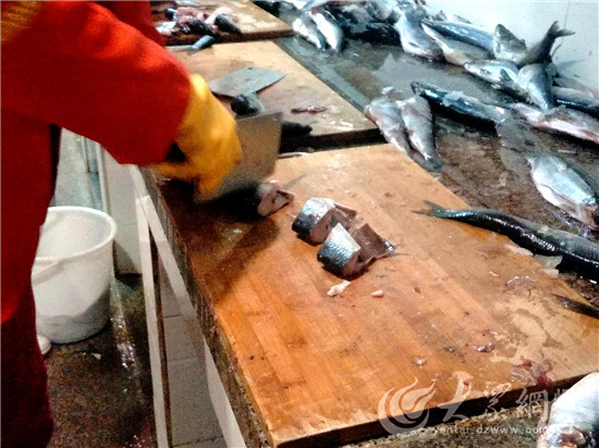 烟台：驯养师与海狮伙伴“贝克”的故事