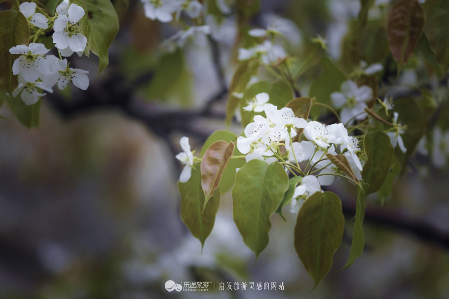 閭ｄ釜杩滄柟鐨勪綘,閭ｄ釜杩滄柟鏄皝鍞辩殑