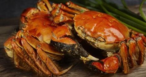 新鲜的大闸蟹要怎么保存保鲜,大闸蟹怎么储存才能保鲜