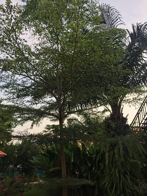 甯︾潃鐗涢瓟鐜嬬湅鏄熸槦,甯︾潃鐗涢瓟鐜嬪嚭鏉ョ湅涓婂笣