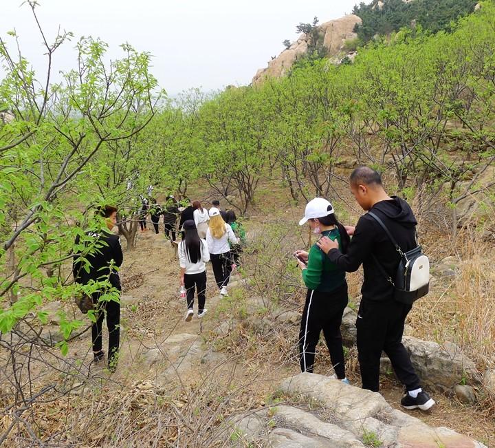 蒙山县反腐,蒙山县反腐新闻