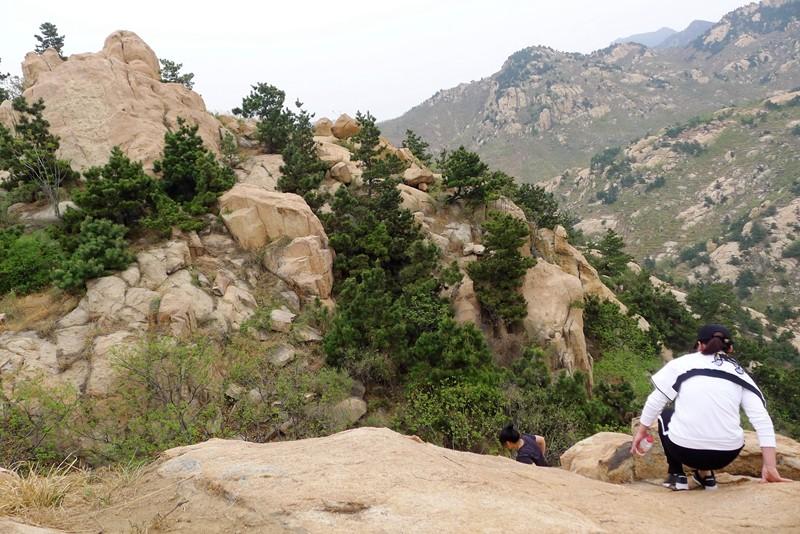 蒙山县反腐,蒙山县反腐新闻