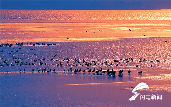 长寿湖美食文化节,美食美景迎双节