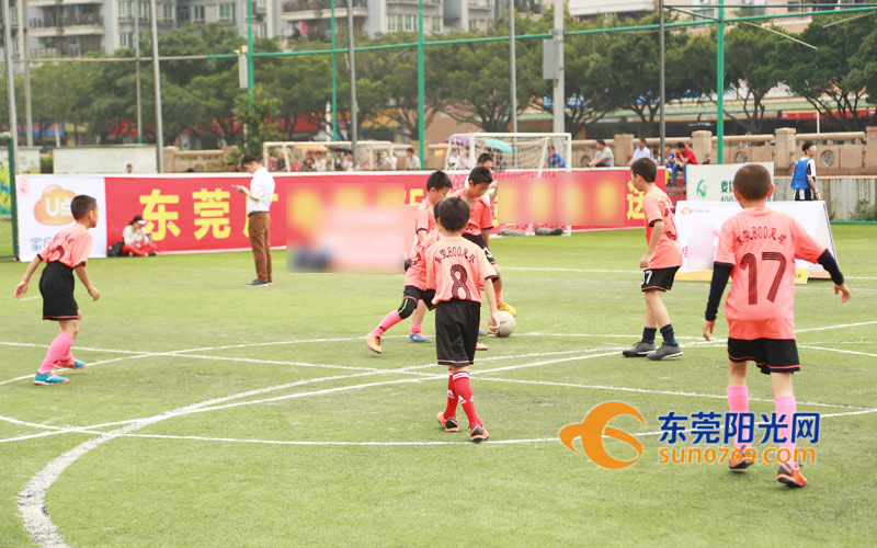 2019东莞市足球赛16强队伍有哪些,广东省五人足球甲级联赛决赛