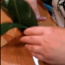 这个端午节要这样玩，千万别错过了！