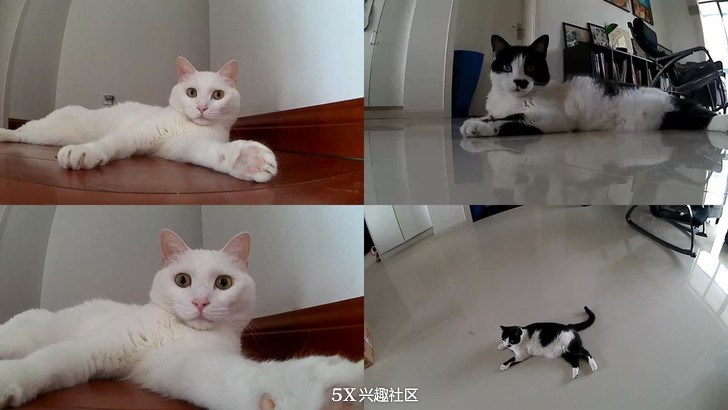 继续体验好玩好用也“好贵”的网件Arlo爱洛纯无线