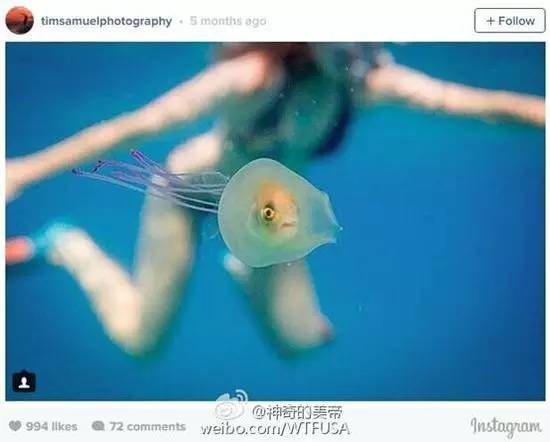 去看魔兽电影,看魔兽的顺序