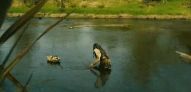 深度|《魔兽》电影是烂片中的烂片?只因为你看的角度不对