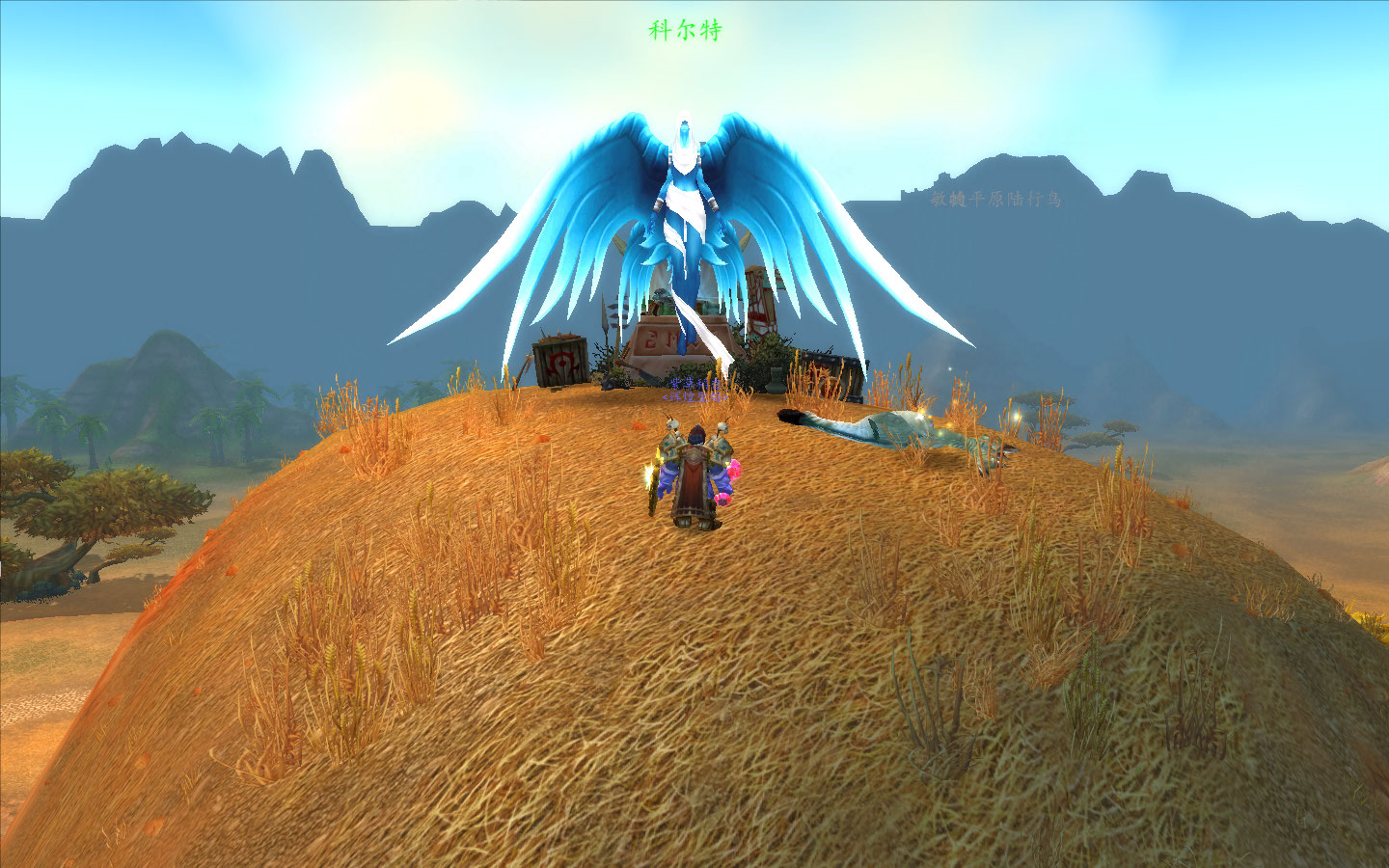 魔兽世界玩家的名字,魔兽世界名字连体