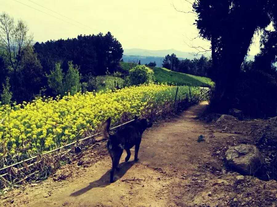 月白月明：满仓和他的女人