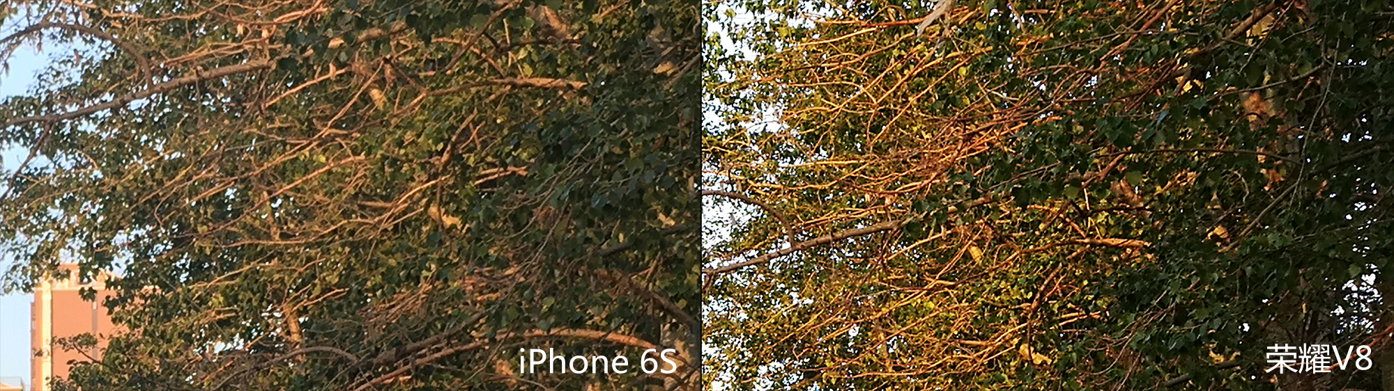 荣耀8和苹果6对比评测,荣耀70和苹果8哪个拍照好