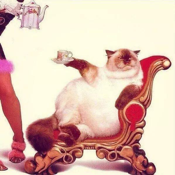 实况足球2016一球成名修改,2016欧洲杯夺冠历程