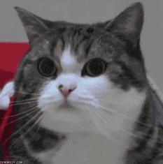 不为人知的内幕,揭秘医美圈不为人知的秘密