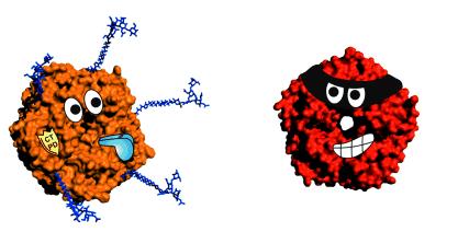 怎么在家做脸部排毒,怎么做水嫩女人
