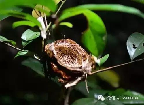 这就是传说中的安溪？是欺负我没出过门吗？