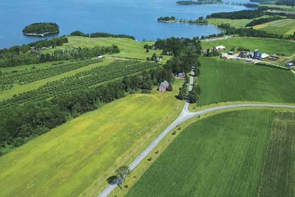 什么叫生态农业,生态农业其实离我们很远