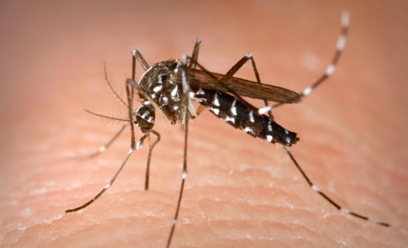 当妈的因为不知道这个,儿子被蚊子叮咬后……