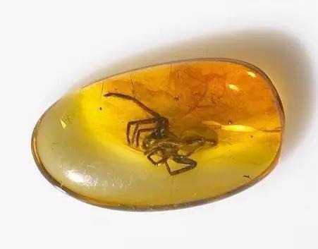 辽宁有什么宝藏,辽宁藏的宝藏