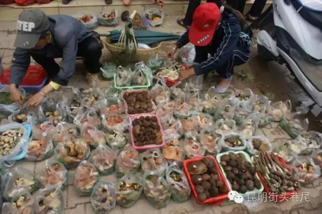 云南消防魔性视频提醒防吃菌中毒 (云南吃菌中毒搞笑视频)