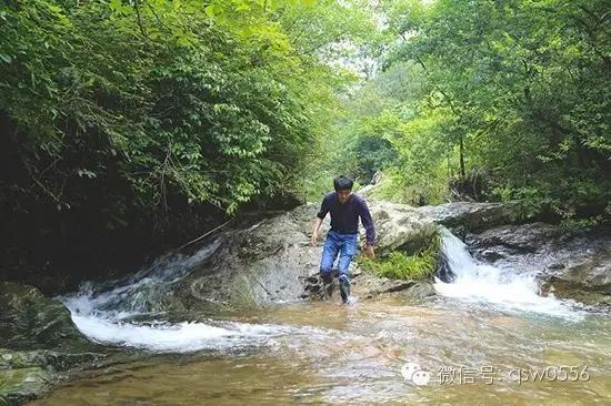 璧伴亶娼滃北,璧伴亶瀹夊窘瀹夊簡