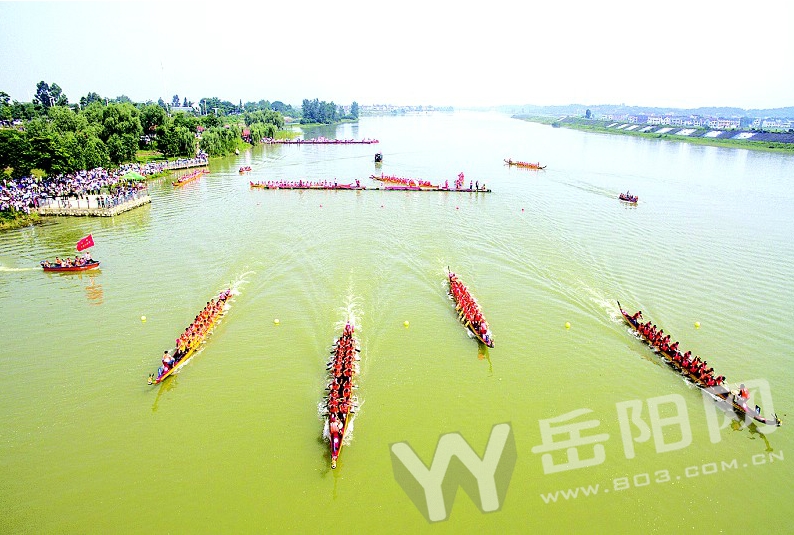 汨罗龙舟赛激情开桨20支强队“群龙”竞渡