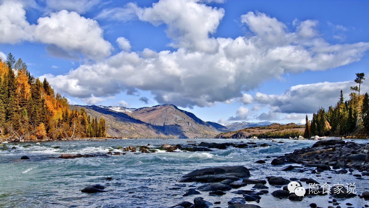 喝沙棘汁和柠檬汁哪个好,最好喝沙棘汁