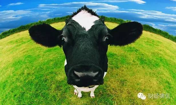 中鼎牧业挂牌：日产奶90万斤将整合千座牧场蒙牛伊利是客户