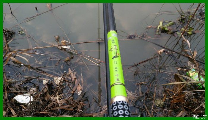 大鲫鱼大鱼,大鲫鱼大鲤鱼